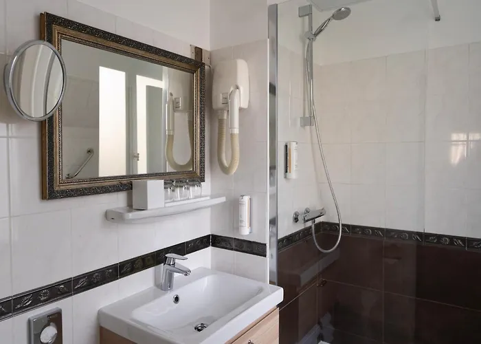 デラヴィーニュ ホテル 3*