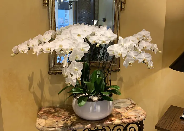 ホテル デラヴィーニュ 3*